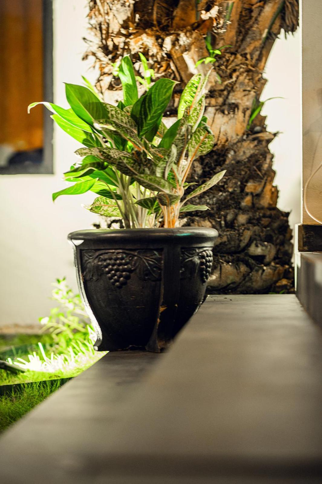 Ahome Guest House & Lounge 洛美 外观 照片